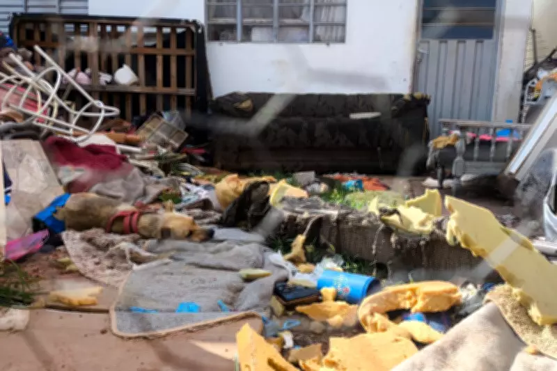 Mulher é detida e multada em R$ 3 mil por maus-tratos a cão em Presidente Prudente