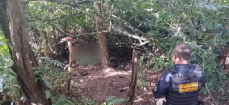 Mulher é encontrada morta com sinais de violência em mata de Parauapebas, PA