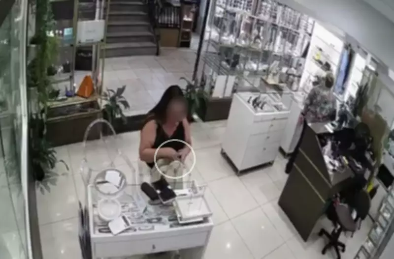 Mulher furtou joias em Petrópolis após atendente se afastar; polícia investiga