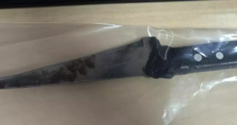 Mulher é presa após esfaquear jovem no pescoço durante briga em Boa Vista