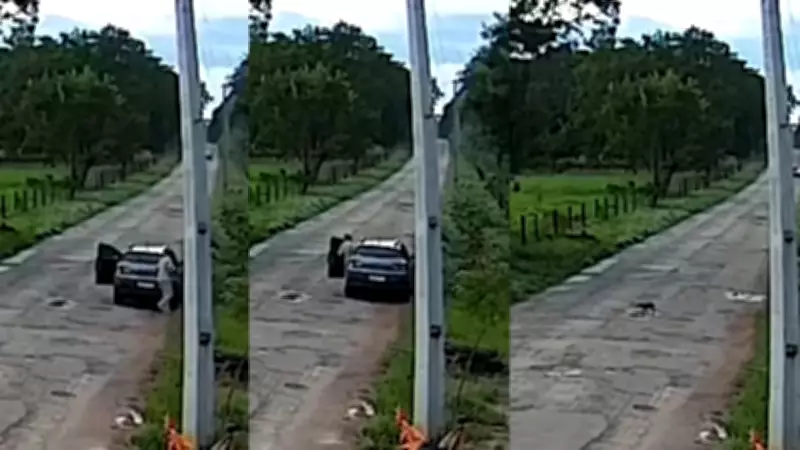 Mulher é presa após flagrante de abandono de filhote de cachorro em área de mata em Mato Grosso