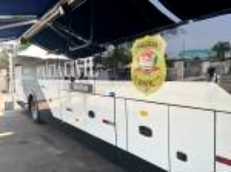 Mulher é presa em flagrante após furtar celulares no Lollapalooza em São Paulo