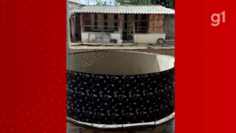 Mulher é presa por manter rinha clandestina de galos em Caxias, no Maranhão