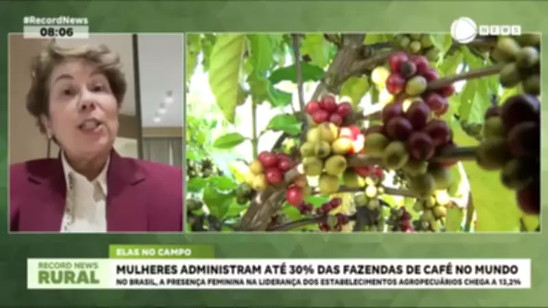 Mulheres alcançam 30% das administrações de fazendas de café no mundo, mas Brasil fica em 13,2%
