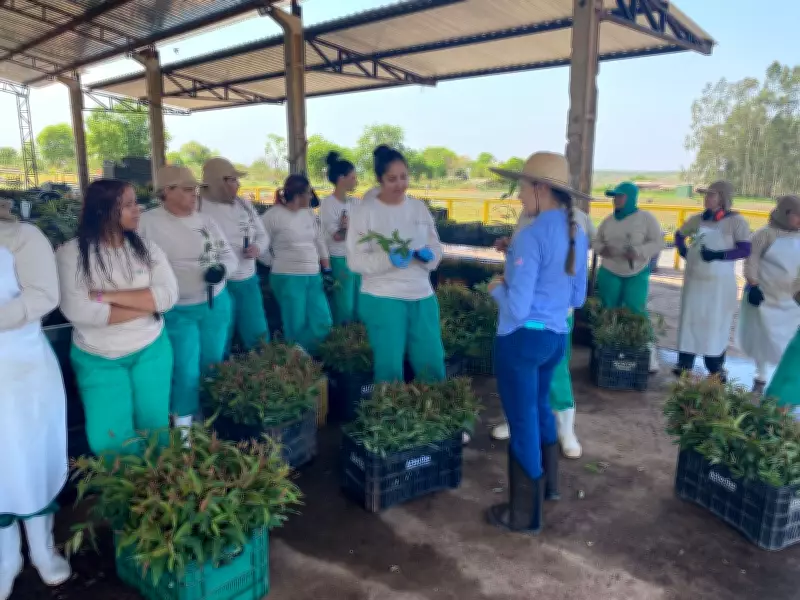 Mulheres conquistam espaço no setor florestal de MS com histórias de superação