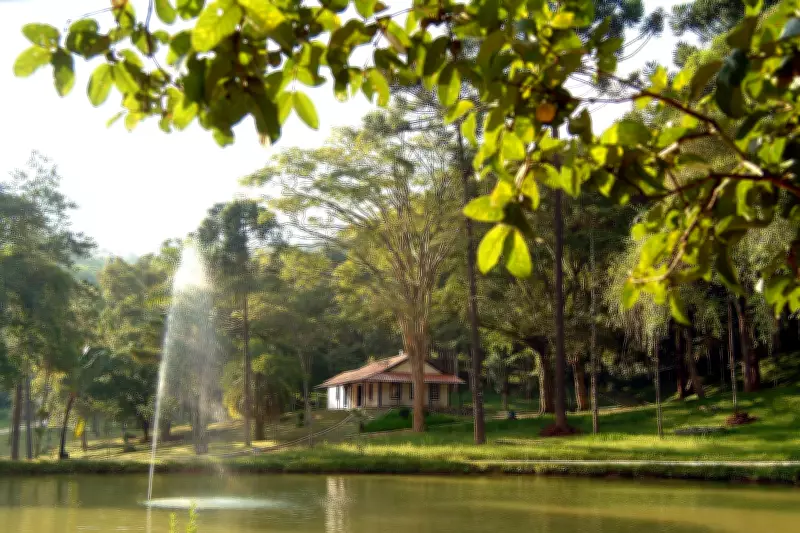 Museu de Cabangu reabre ao público em Santos Dumont com acervo histórico da aviação