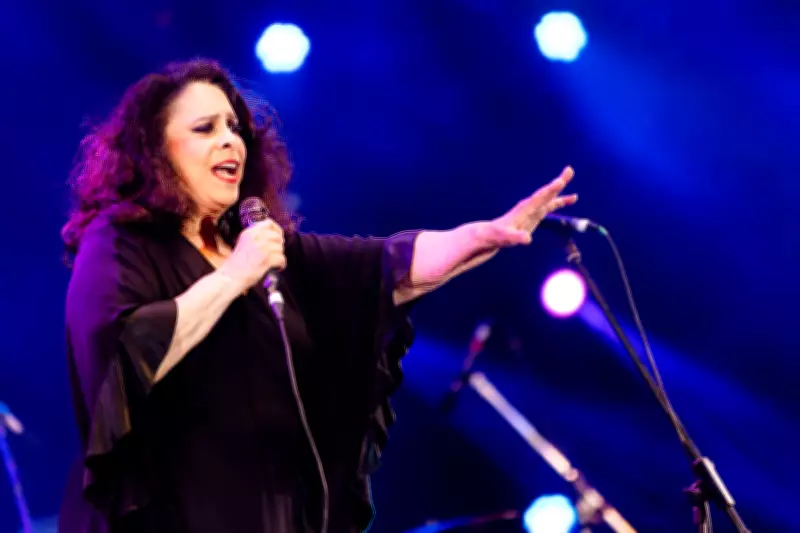 Musical sobre Gal Costa estreia em São Paulo com homenagem à trajetória da diva da MPB