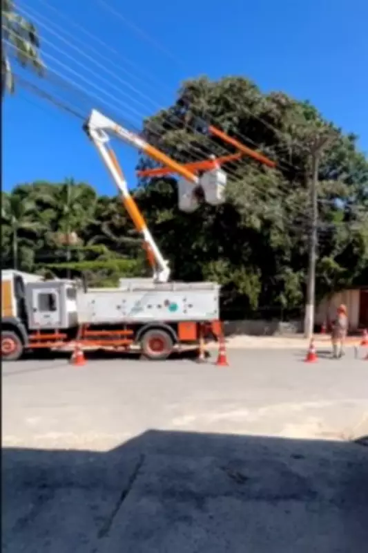 Mutirão de podas de árvores reforça segurança energética em Vassouras (RJ)