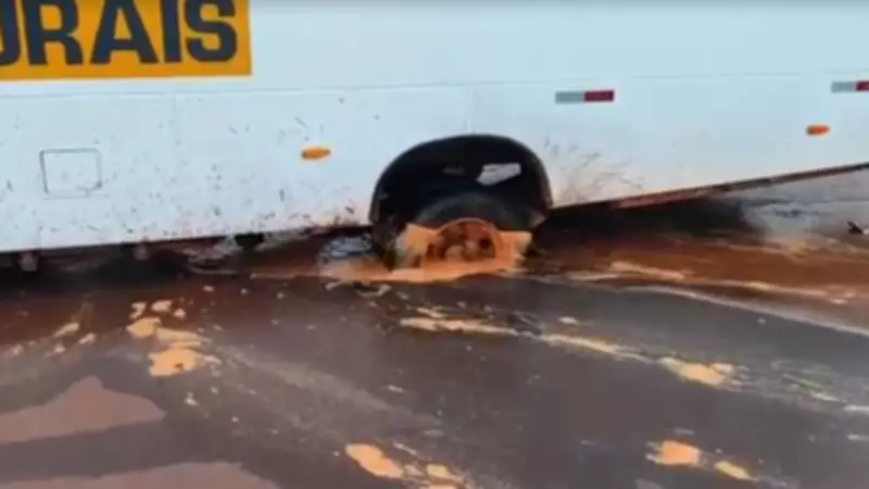 Ônibus afunda no asfalto e revela vazamento oculto que deixou moradores sem água em Pereira Barreto (SP)