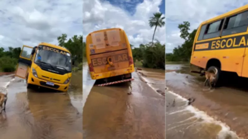 Ônibus escolar quase tomba após atolar em passagem molhada na zona rural do Piauí