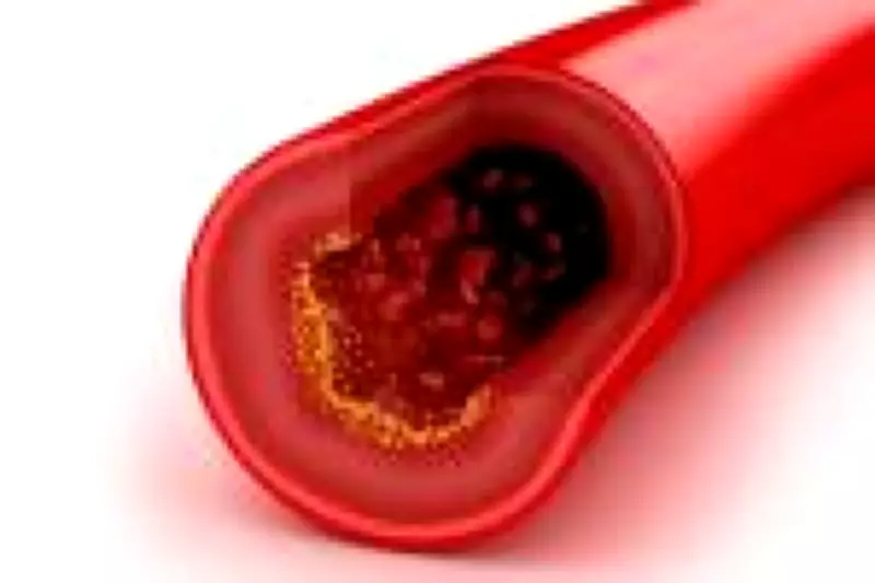 Nova diretriz americana redefine metas de colesterol e amplia exames para proteger o coração