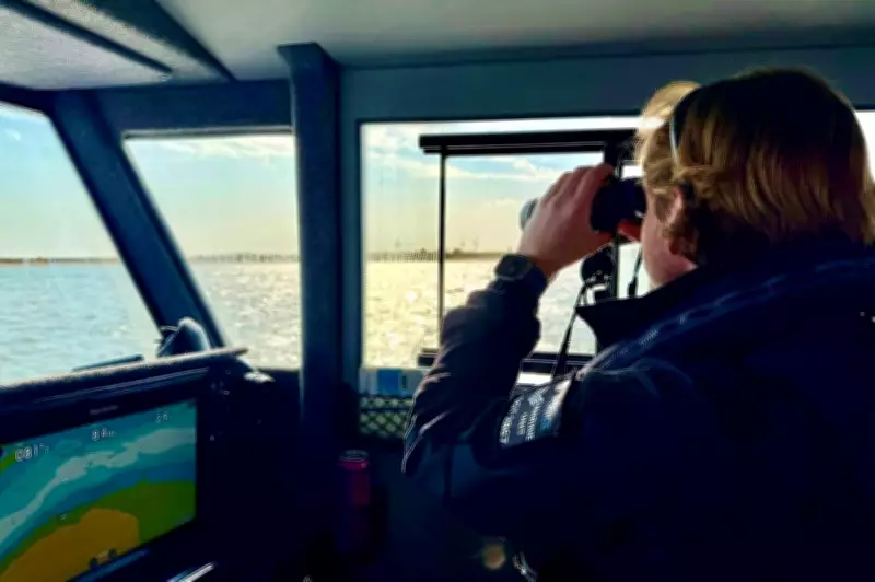 Novas imagens revelam trajeto de Vitória Barreto em ônibus e rua na Inglaterra