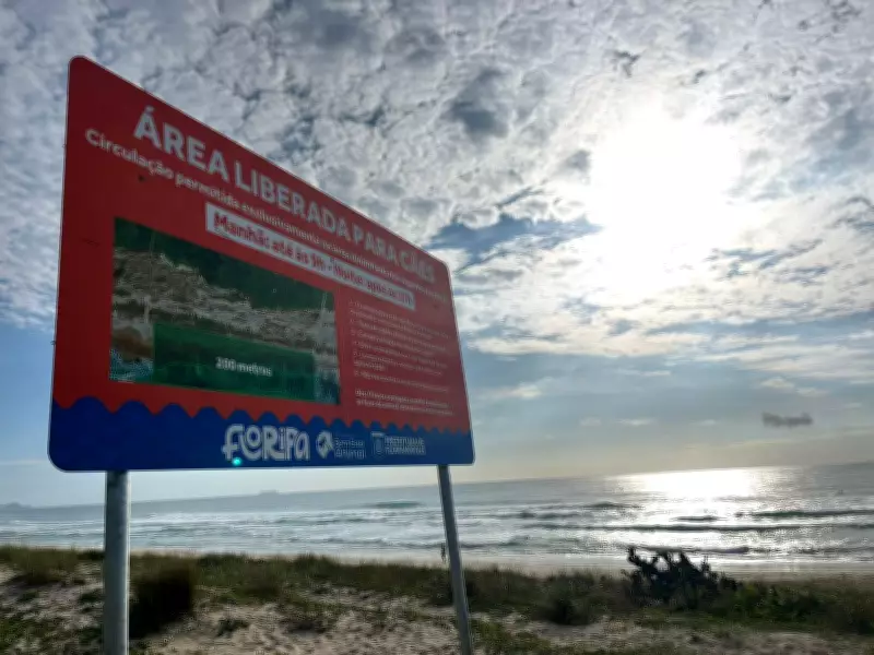 Novas regras permitem cães em praias de Florianópolis com restrições e multas