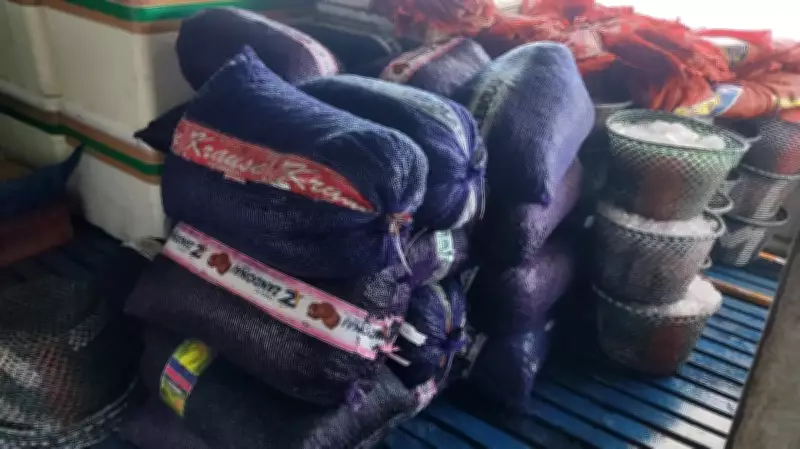 Operação apreende 52 toneladas de açaí irregular em Óbidos, no Pará