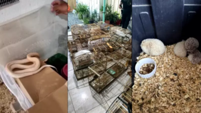 Operação Aruana: Gaeco desarticula rede de tráfico de animais silvestres em cinco estados