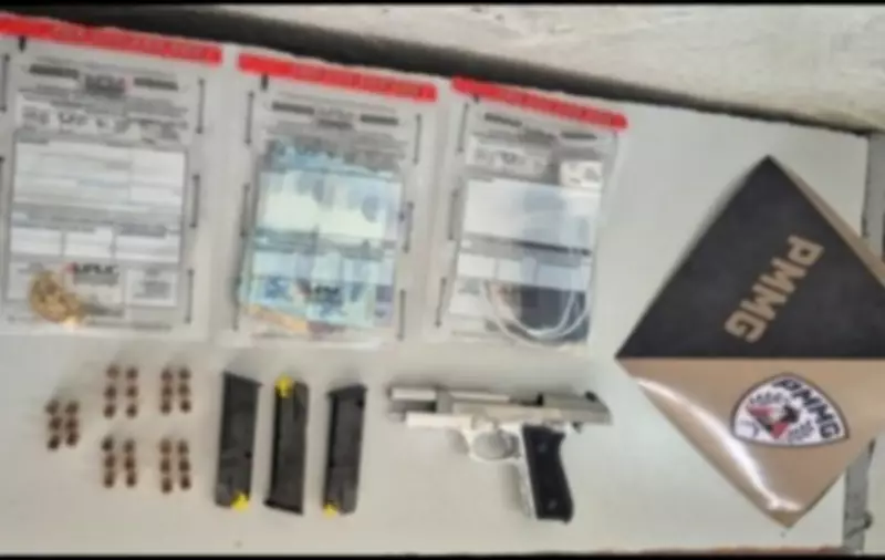 Operação Bulldog apreende armas e joias de R$ 413 mil em cidades mineiras