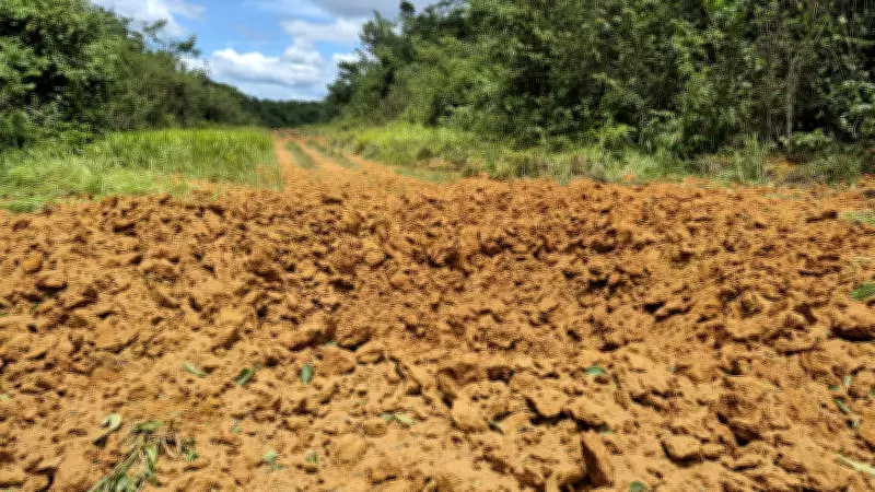 Operação Catrimani II destrói 80 pistas clandestinas de garimpo na Terra Yanomami