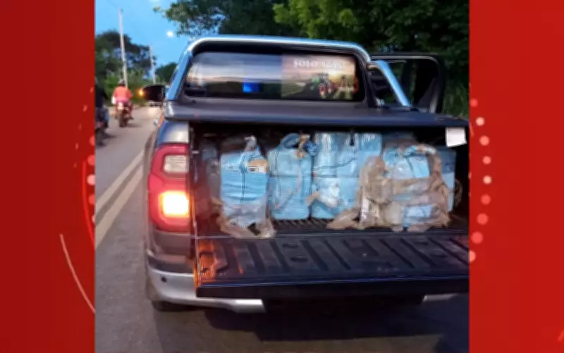 Operação conjunta apreende quase meia tonelada de cocaína na Bahia e prende três homens