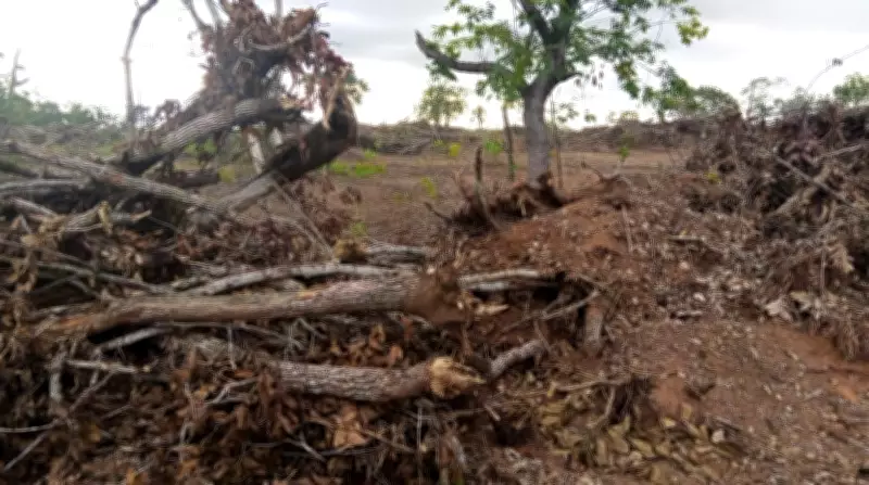 Operação da PM Ambiental combate desmatamento ilegal em cerrado de Cuiabá