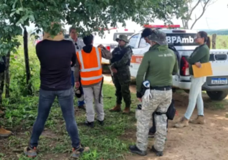 Operação fiscaliza desmatamento ilegal de 227 hectares na Paraíba e autua mais de 10 propriedades