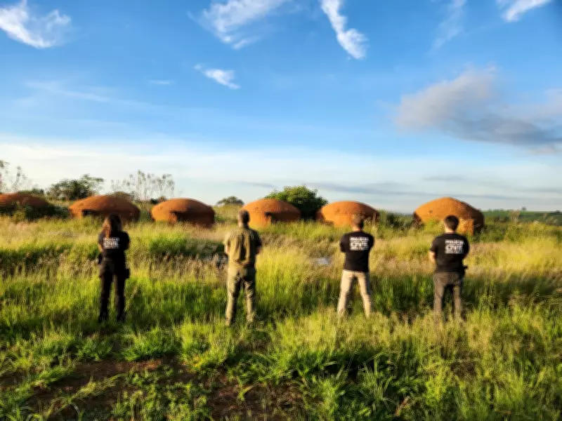 Operação Kodama desmantela esquema milionário de carvão ilegal em Minas Gerais
