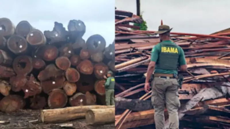 Operação Maravalha no Pará apreende 15 mil m³ de madeira e aplica R$ 110 milhões em multas