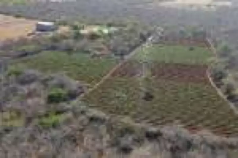 Operação Midas da PF mira tráfico de drogas, armas e lavagem de dinheiro do CV em seis estados