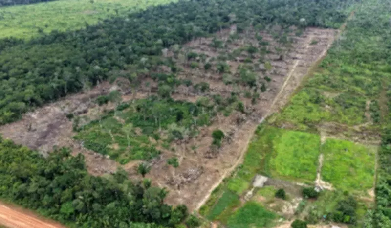 Operação Tamoiotatá 6 aplica mais de R$ 28,2 milhões em multas no Amazonas em primeira etapa