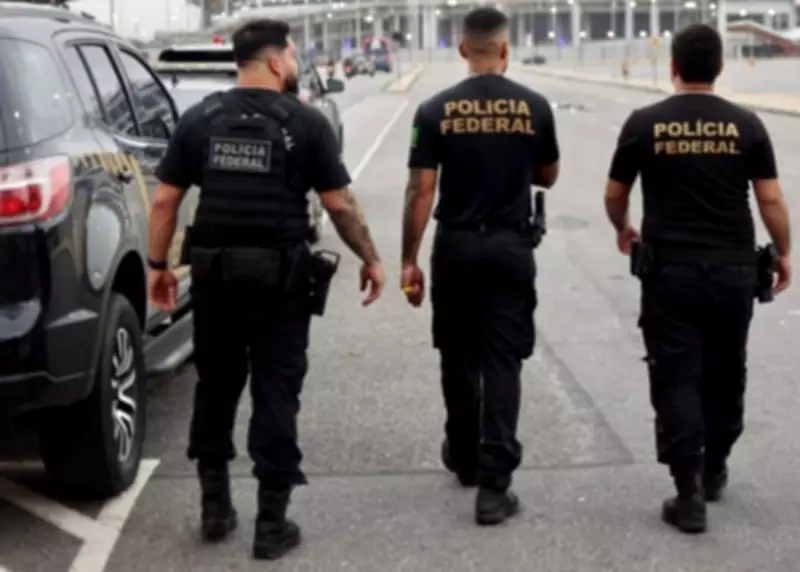 Operação Êxito da PF combate plantação de maconha na Paraíba com prisões em PE e SP