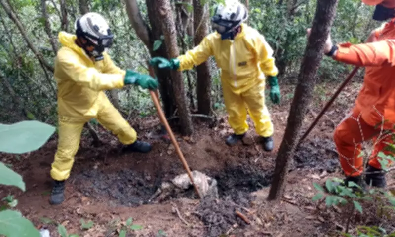 Ossadas são encontradas em mata na Bahia; polícia investiga ligação com 'tribunal do crime'
