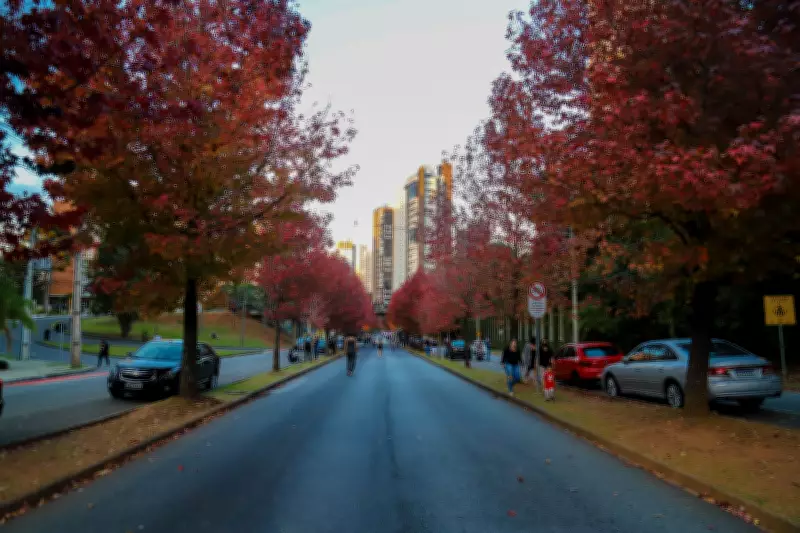 Outono 2024 chega com calor persistente e previsão de El Niño no Brasil