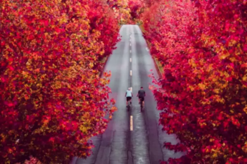 Outono 2026: Calor acima da média e chuva irregular marcam estação no Brasil
