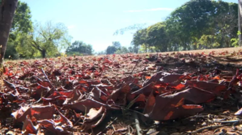 Outono de 2026 no Alto Tietê será mais quente e chuvoso que o habitual