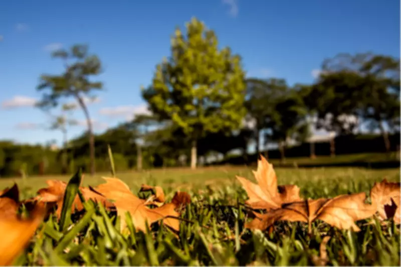 Outono de 2026 no Rio de Janeiro terá calor prolongado e transição lenta para o frio