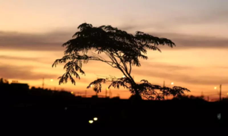 Outono em Juiz de Fora inicia com temperaturas acima da média e previsão de chuvas reduzidas