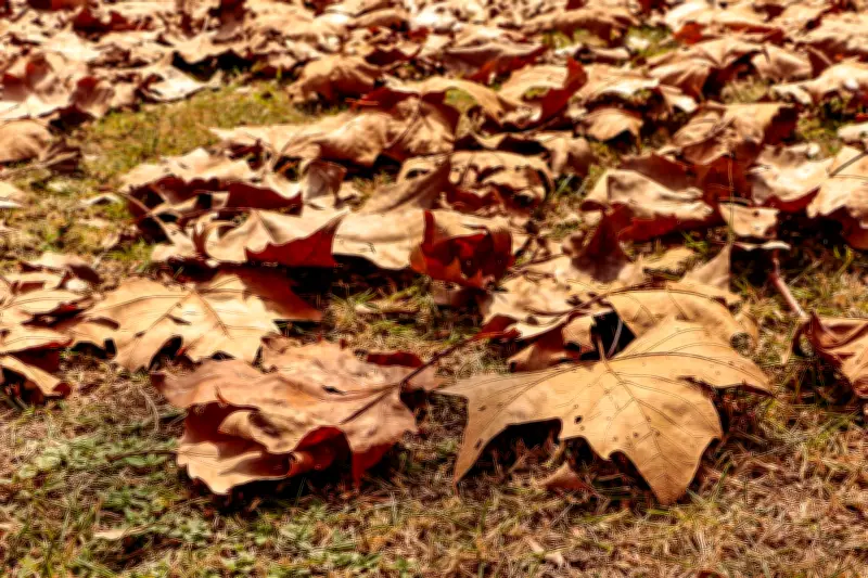 Outono no Paraná terá temperaturas acima da média e chuvas concentradas