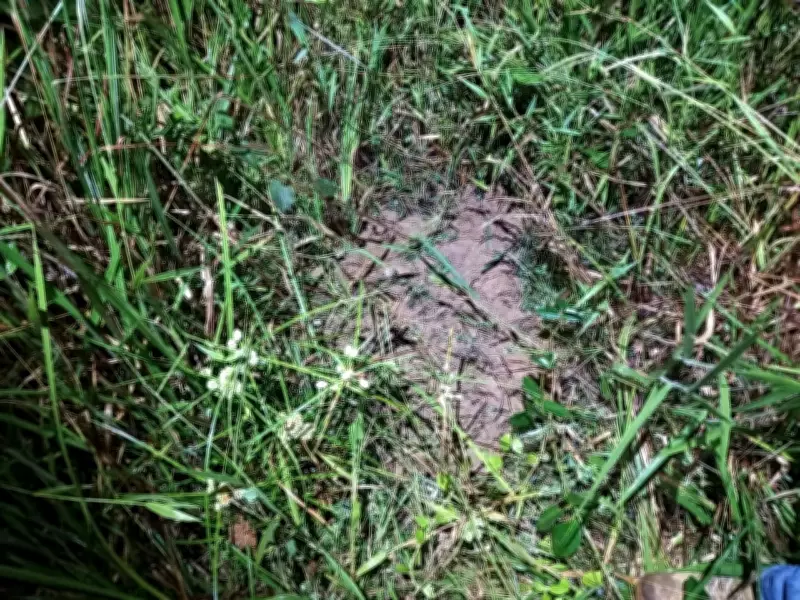 Pai condenado a 21 anos por matar e enterrar filha de 7 meses em São José do Barreiro