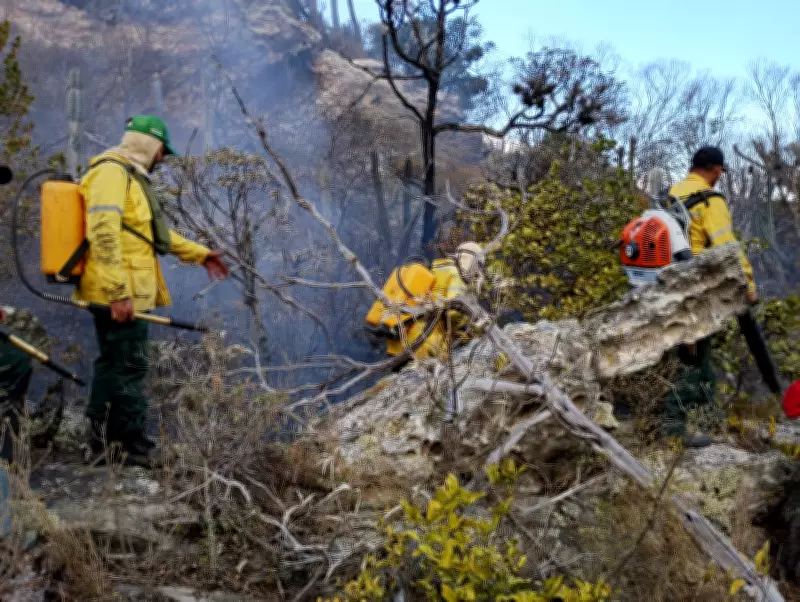 Pará abre 112 vagas para brigadistas florestais com salários de até R$ 3 mil