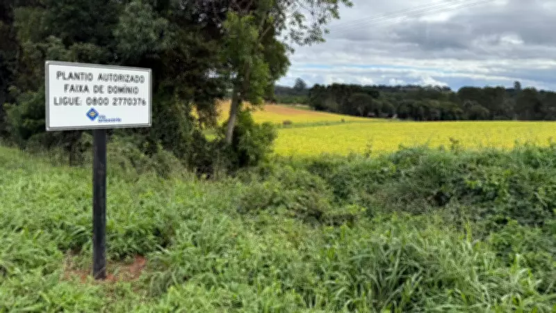 Paraná transforma faixas de rodovias em áreas agrícolas para impulsionar economia rural