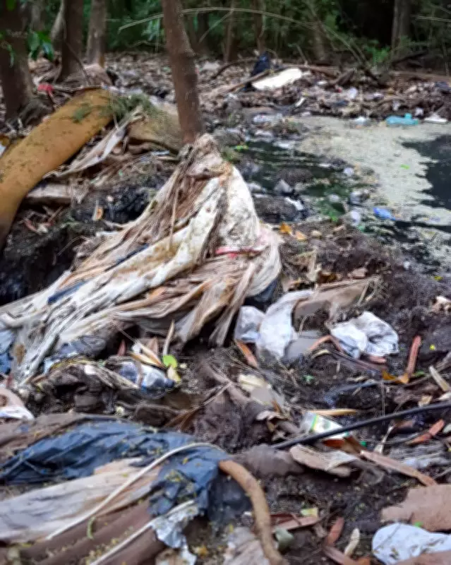 Parque do Sabiá em Uberlândia é alvo de inquérito por contaminação ambiental