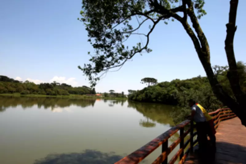 Peixes mortos reaparecem em lago do Parque Tingui em Curitiba; prefeitura investiga