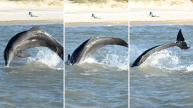 Pesca com botos no RS é reconhecida como patrimônio cultural imaterial pelo Iphan