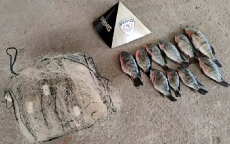 Pesca ilegal, terras raras e atentado em velório: as notícias mais lidas da semana no Sul de Minas