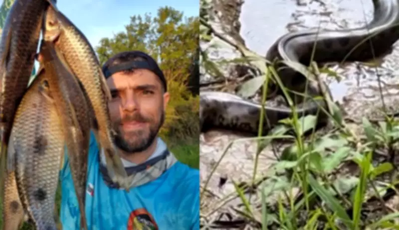 Pescador tem encontro tranquilo com sucuri gigante em córrego de Mato Grosso do Sul