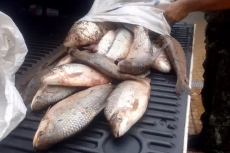 Pescadores recebem multas de R$ 2 mil por pesca ilegal no Rio Aguapeí em Lucélia