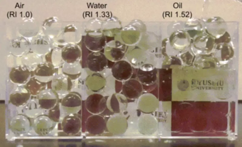 Pesquisadores japoneses usam proteína do sangue para tornar cérebro vivo transparente