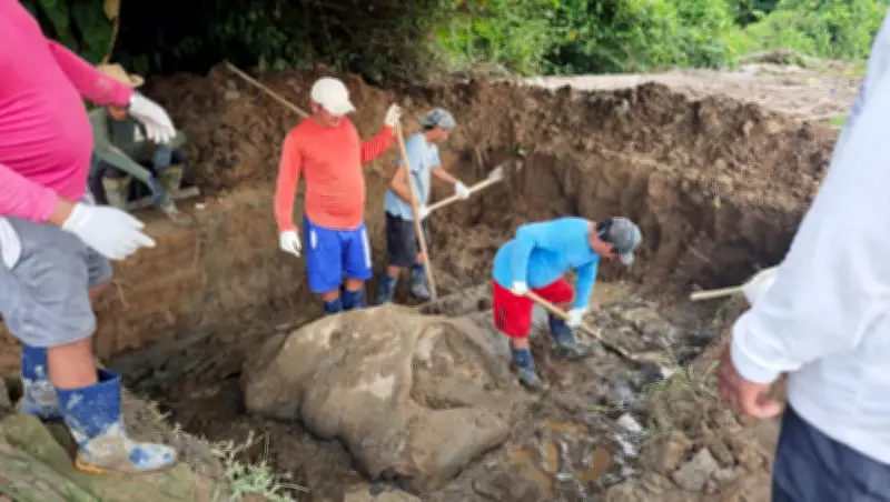 Pesquisadores resgatam ossos de baleia de 14 metros no Amapá para coleção científica