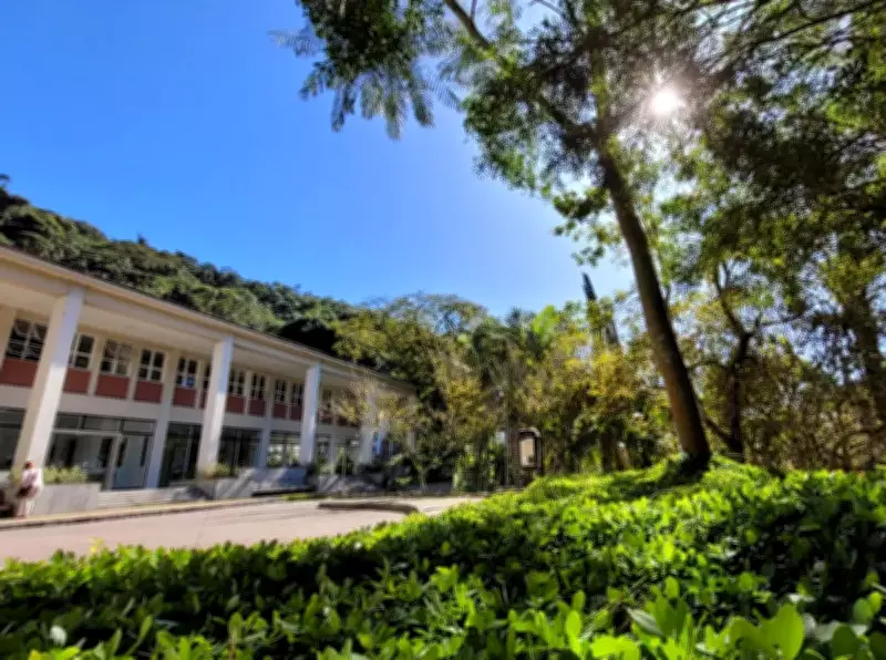 Petrópolis sedia evento gratuito em homenagem ao Dia Internacional da Mulher com debates jurídicos