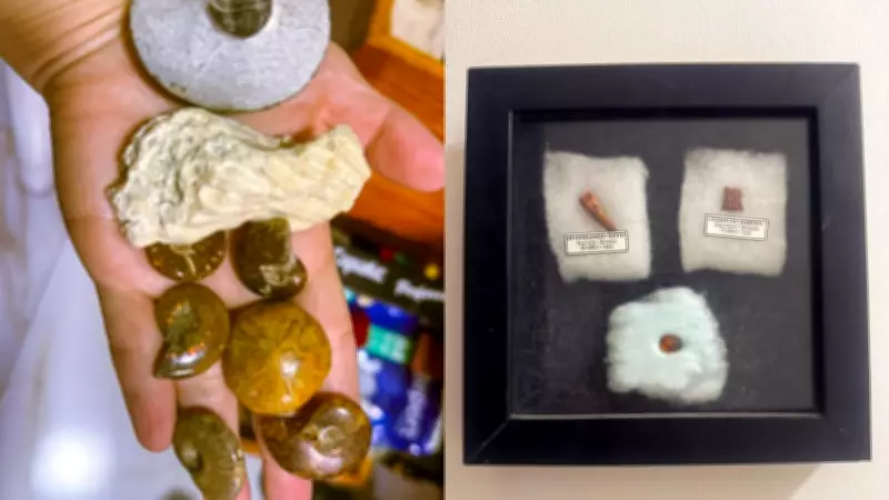 PF desarticula rede de contrabando de fósseis no Ceará com apreensão de 56 itens