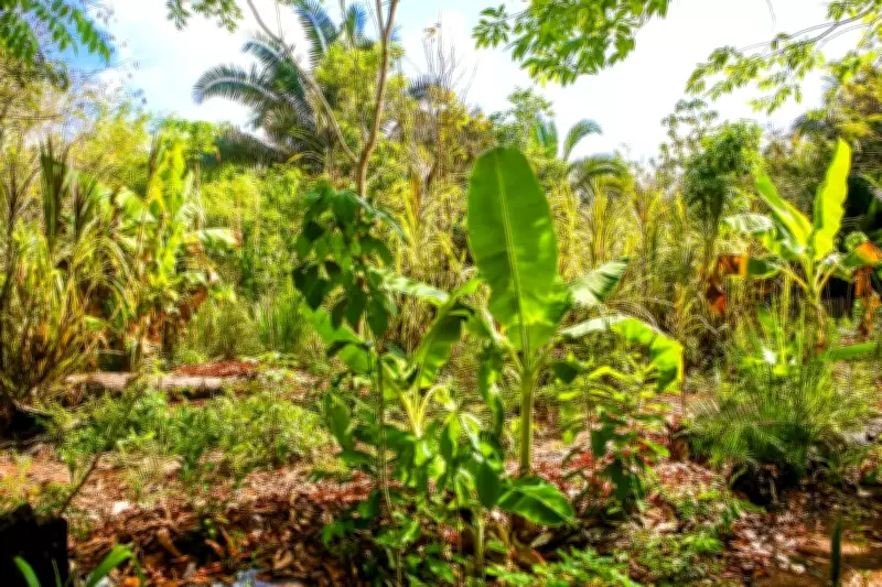 Piauí conquista segundo lugar nacional em aquisição de terras pelo Crédito Fundiário